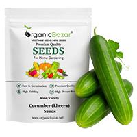 Vegetable Seeds Showcase