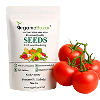Flower Seeds Showcase