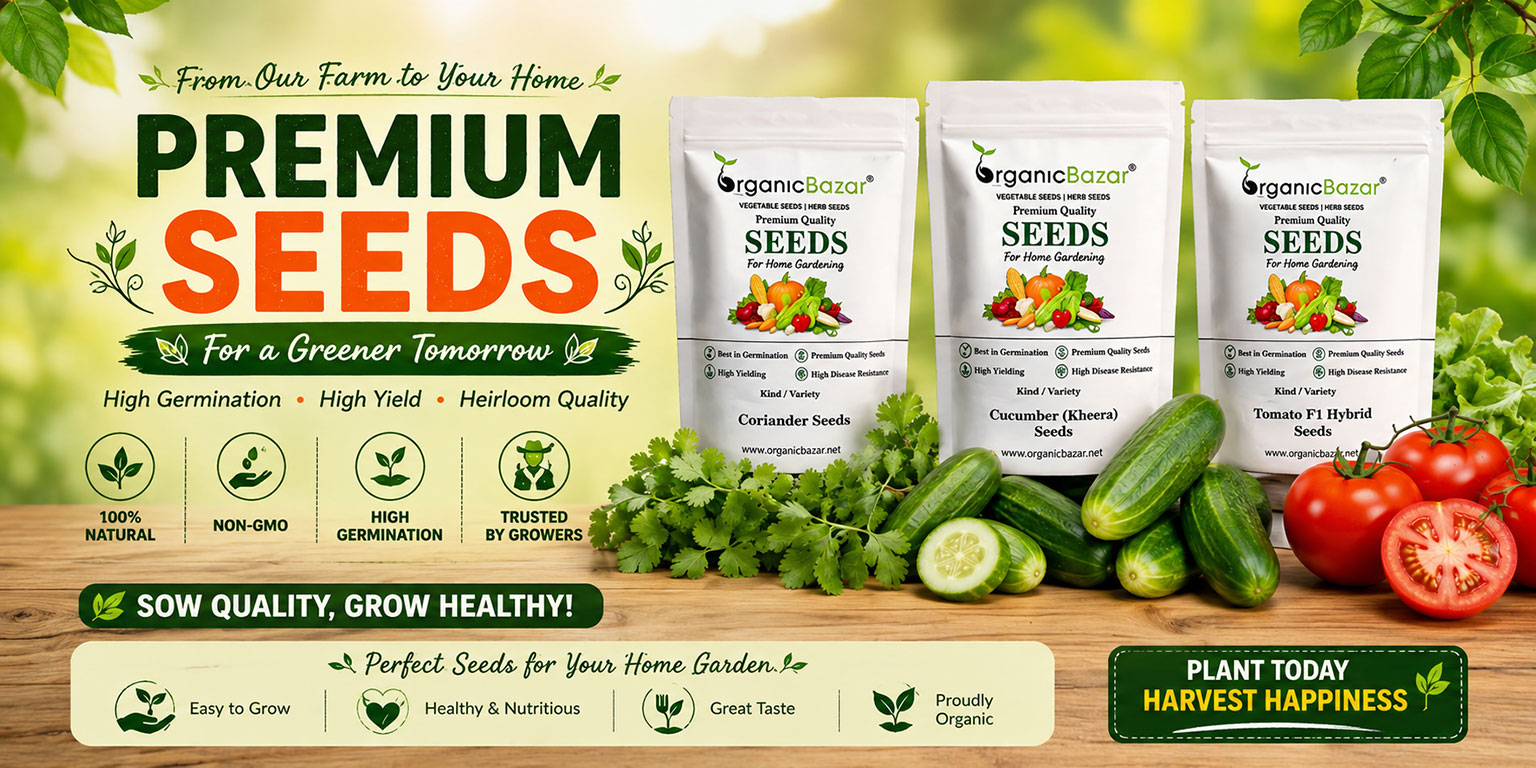 Special Offer Banner