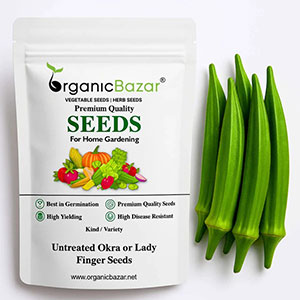 Okra or Lady Finger