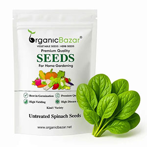 Spinach