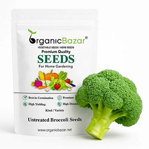 Brocoli