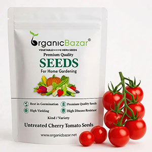 Tomato