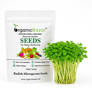 Radish Microgreen Seeds