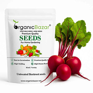 Beetroot