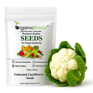 Cauliflower