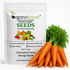 Carrot