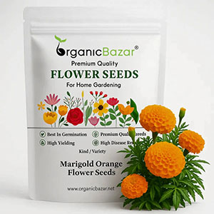 Flower Seeds